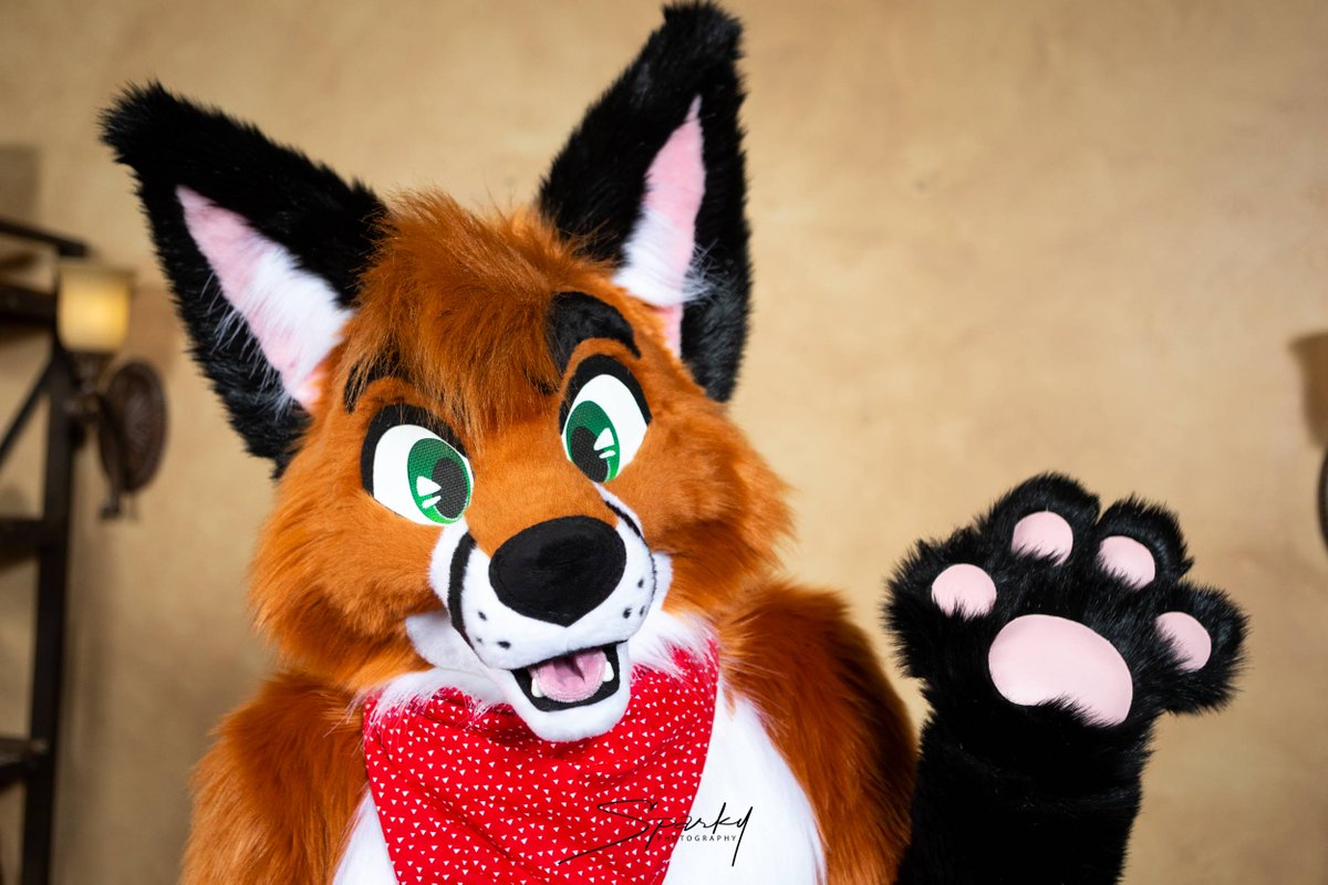 PaintedDesertFC's tweet photo. Suprise! It's #fursuitfriday hope everyone has a great weekend!
Photo by: @Sparkypics
Fuzzy animal is @KostyaFox_
#PDFC2019 https://t.co/sOx7kbGovg