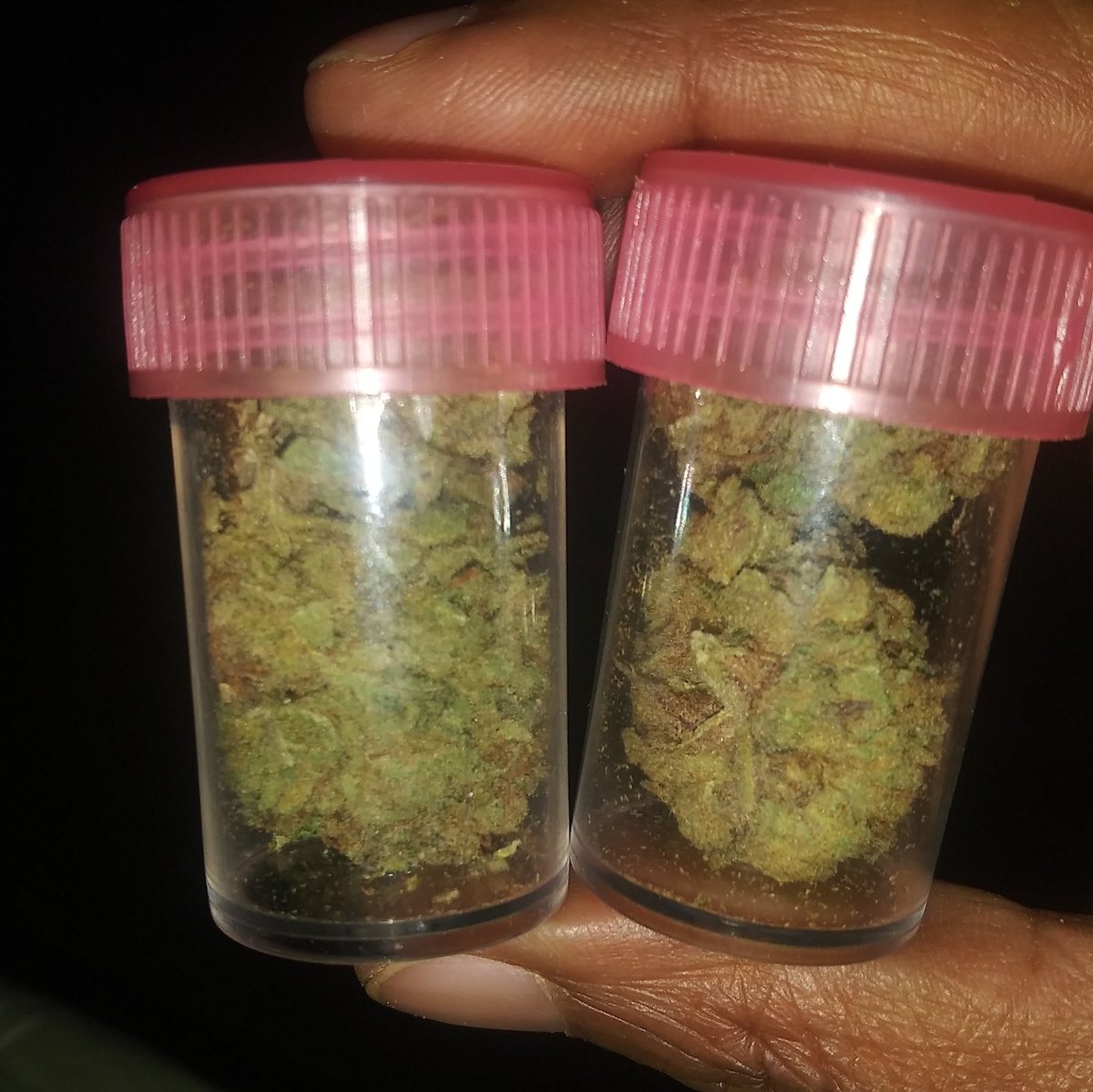 Beatric87360359's tweet photo. YUP Back At It Again #KillerShit Baby 😤💨💨💨💨 https://t.co/zv2hI4cZ1O
