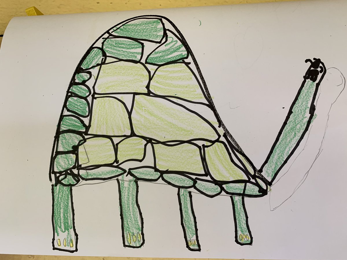 principalochi's tweet photo. Here are @JessicaSouder1 samples of 1st grade Beautiful Oops!  @WaiakeawaenaEl @ReadToMeIntl @eskaneha https://t.co/bPfiRU0GtV