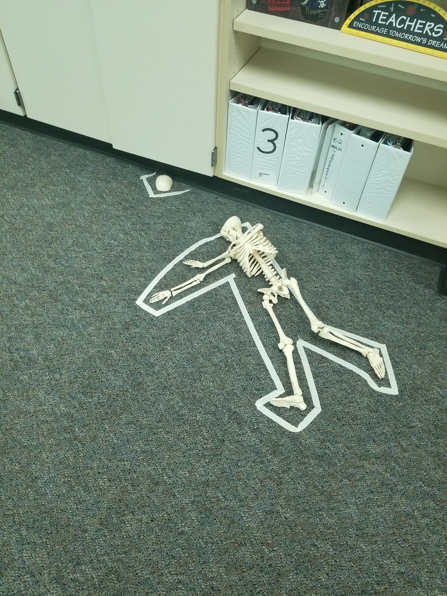 MrsKatWilson's tweet photo. What happened to Mr. Bones?!?! The kids will have to try and solve this mystery on Wednesday! #summerisalmostover #teacherlife #bringonthestudents https://t.co/lOcobBdTDB