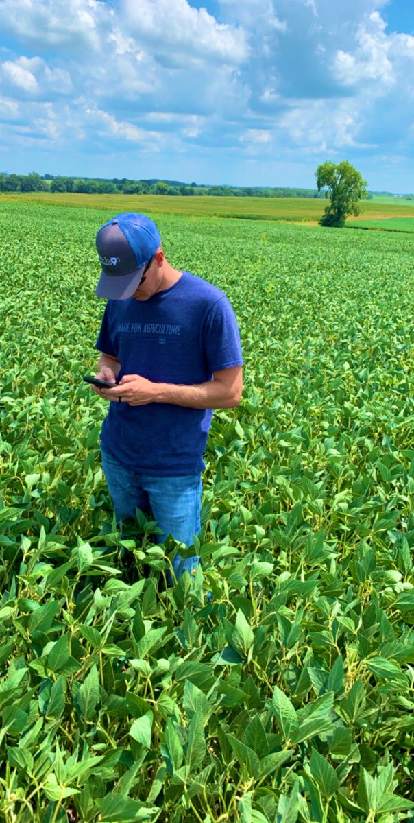 Checking in on a nice field of Asgrow soybeans and updating the grower on growth stage so we have timely application of fungicide! <a href="/bae350/">brent elliott</a> <a href="/MFA_CropTrak/">Crop Trak</a> <a href="/DKAS_MO/">DEKALB Asgrow Missouri</a>