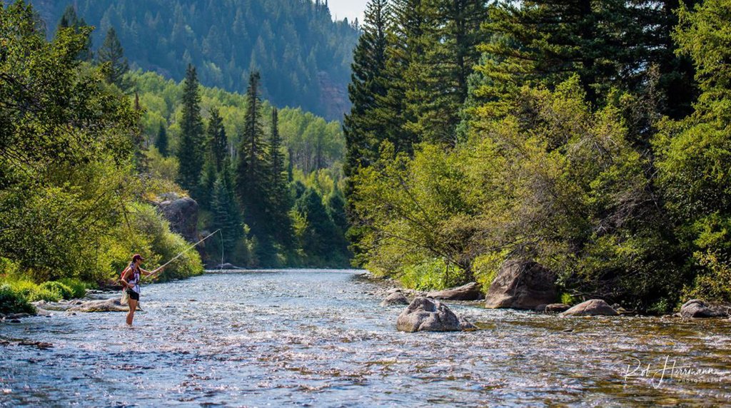 avidmax's tweet image. Read our latest guest post from our friends over at FlyCast USA entitled, How to Choose the Right Location to Fly Fish.
.
Read Here: soo.nr/ZtdM
.
@flycastusa 📷 credit: @rherrmannphotog #FlyFishing #FlyCast
