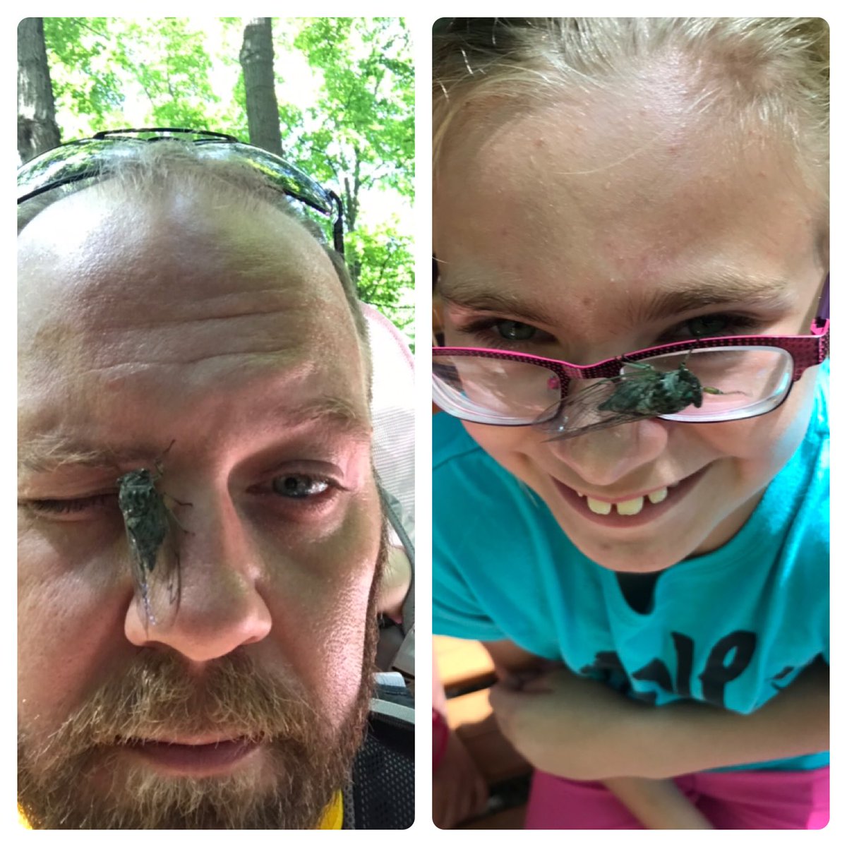 KeithPiccard's tweet photo. Like father, like daughter... entomologist in training #bugface #Cicadoidea https://t.co/WLlbMULxax