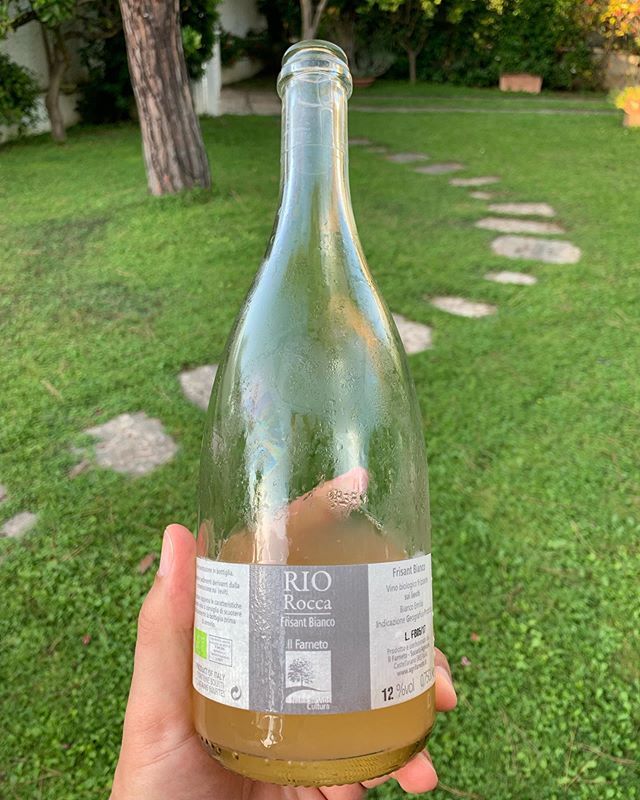 SaintGiovese's tweet photo. #Spergola rifermentare in bottiglia #surlie. Dissetante, corroborante, estremamente divertente. Pompelmo e altri agrumi. Non richiede attenzione particolare, si beve e basta. Piacevolissima bottiglia #wine #vino #nostroenoteca #stappanovista #w… https://t.co/ndEoJN3T22 https://t.co/nbjdxXTiId
