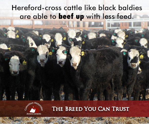 Just a little #WeekendWisdom