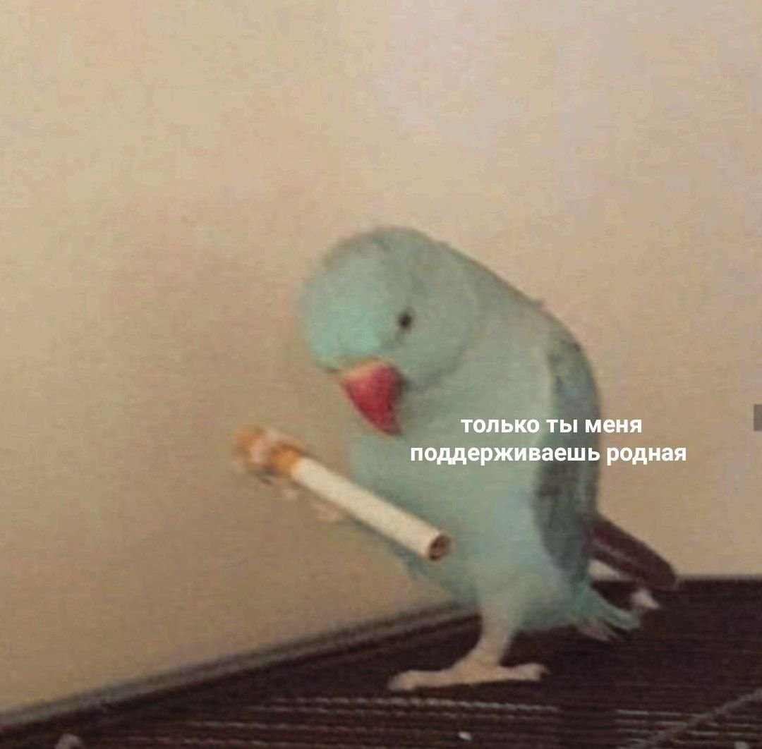EBjRSzXXUAAOOlO?format=jpg&name=medium
