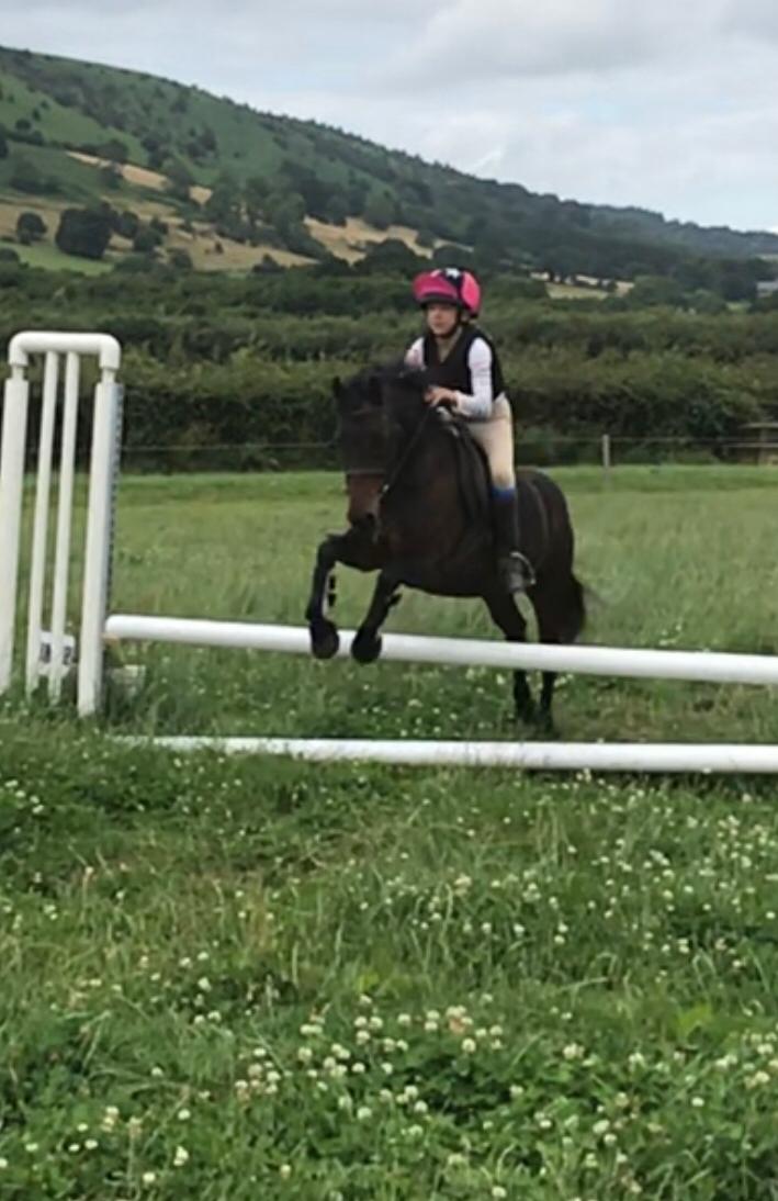 Glanusk's tweet photo. Have always highly recommended #trileyfieldsequestriancentre for a wonderful experience for all abilities young and old! #ponyclub #trekking #events #polocrosse #workinghunter #crosscountry #showjumping #dressage + If you are visiting do look them up. @visitwales #tourism #wales https://t.co/RelLBsBLXe