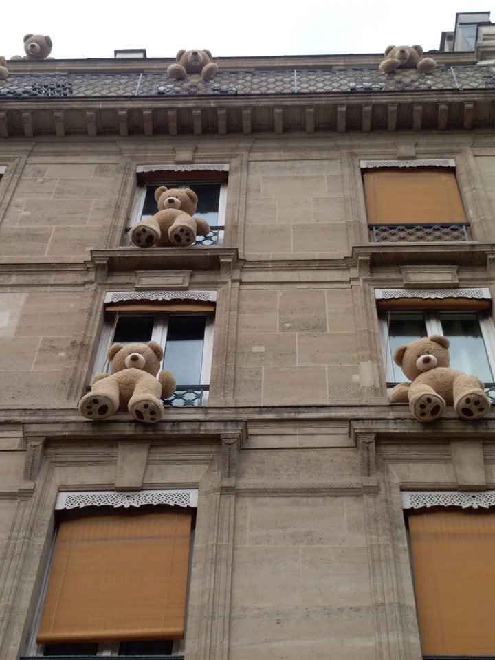 Just some bears casually hanging out.

(From July)