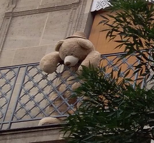 I wonder if she has Twitter?