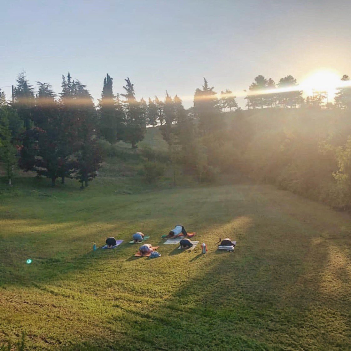 evolationyoga's tweet photo. If you’ve ever wondered what a morning at #evolationyoga teacher training would look like, here’s your answer....beautiful early morning practice in the mountains of Bologna. Thanks to @DanieleFerraro for sharing this magical sunrise moment! ☀️😍#yoga #yogateachertraining https://t.co/Zt9MeoWx0b