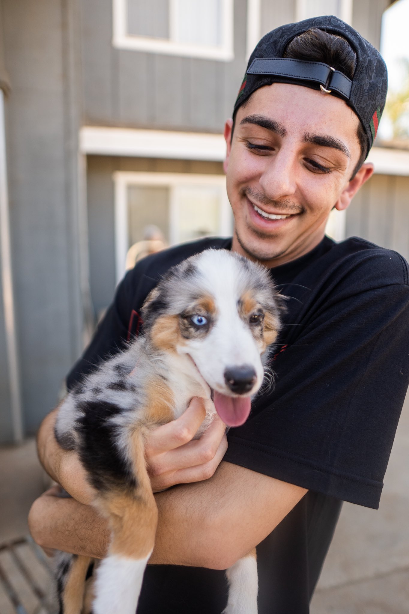 Rug Hey Internet Meet My New Puppy Lola