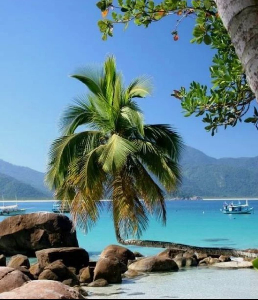 albertkitten66's tweet photo. #Paradise #wheremyheartis
#homesweethome #NylonPool Thanks for the memories #islandgirl https://t.co/otxi0sEC4u