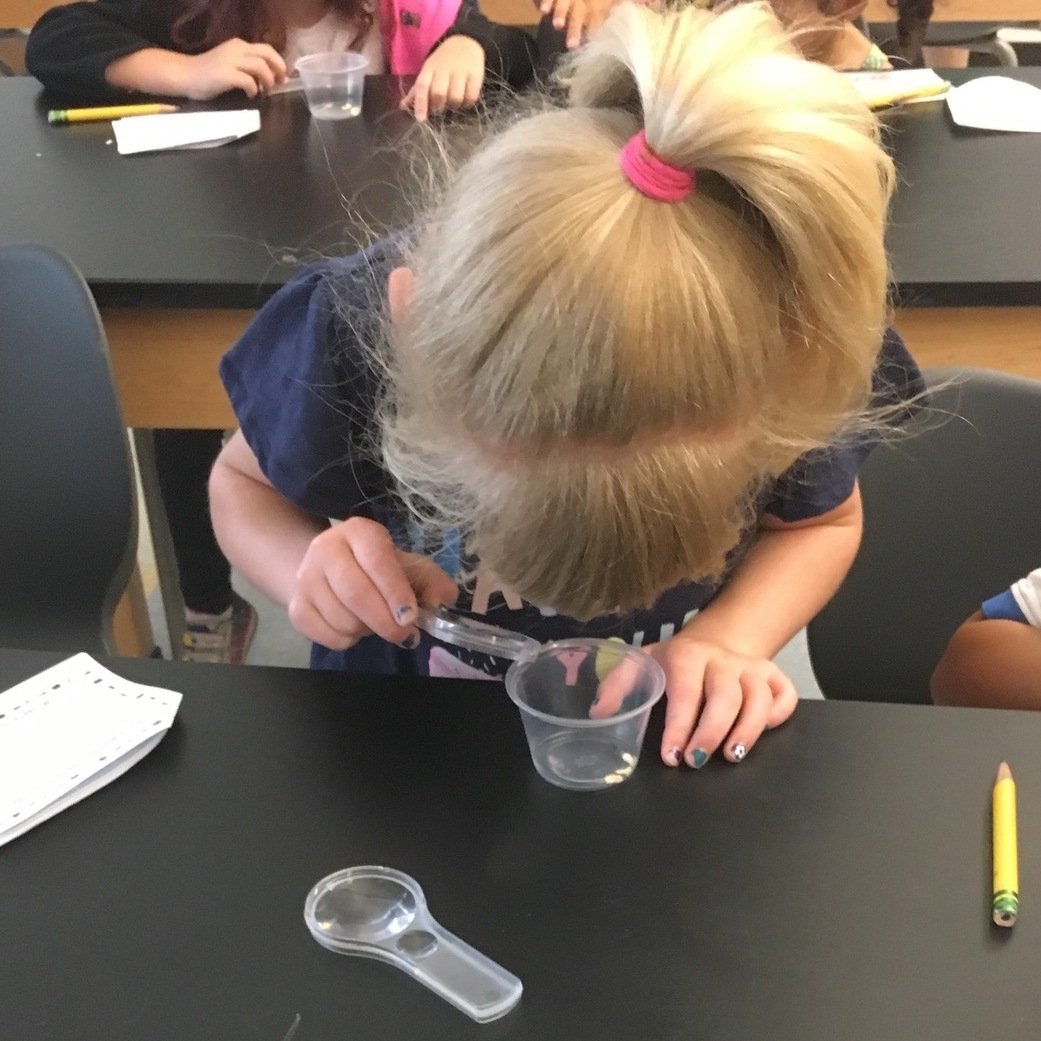 Science Engineering Education Development Seed Science Seed