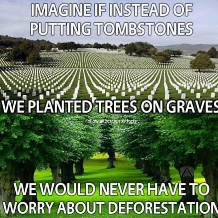 _ecolifestyle's tweet photo. Did you know more than 100 people die every minute 🌎 https://t.co/0ZLssxk3z0