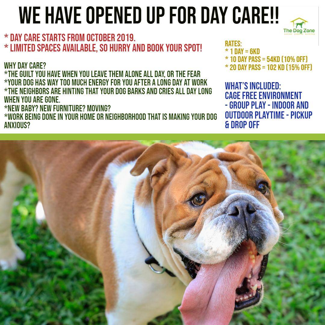 kuwait_uptodate's tweet photo. Available now
Daycare at our facility from 1.10
Spaces are very limited so hurry up!
#kuwaitpets
#kuwaitdog
#kuwaitdogs
#kuwaitdogboarding
#dogdaycare
#kuwaitdaycare https://t.co/WA1bCowaKO