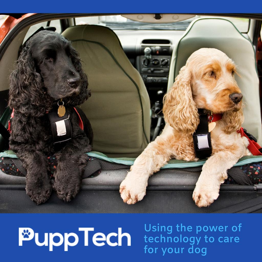 PuppTech's tweet photo. PuppComm allows you to check on your dog to know how they're doing while you're away. You'll receive alerts/notifications about changes in your dog's environment before they become a problem.
#happydog #healthydog #dogsarefamily #puppcomm
https://t.co/D0SsORsnSd https://t.co/3VDolC9RSV