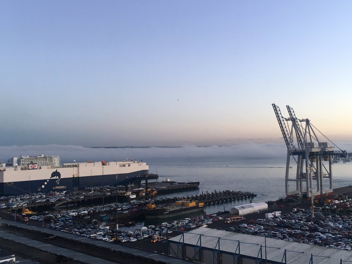 AucklandPort's tweet photo. commemorating some moments ! One of our favourite sunrises at beautiful Auckland Port😍 https://t.co/F2SKlUwIgr