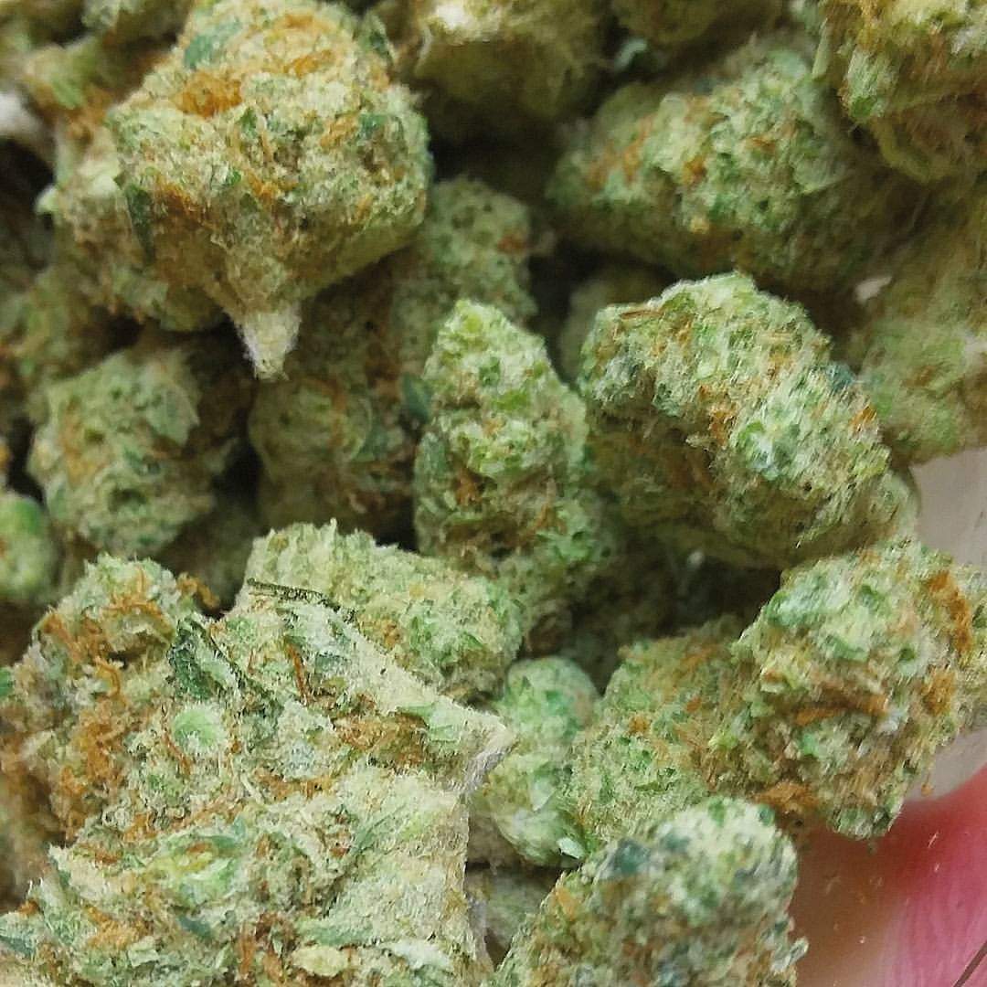 trader_cannabis's tweet photo. @UberFacts https://t.co/w3tlVsLBjD https://t.co/q3dcofIZvC