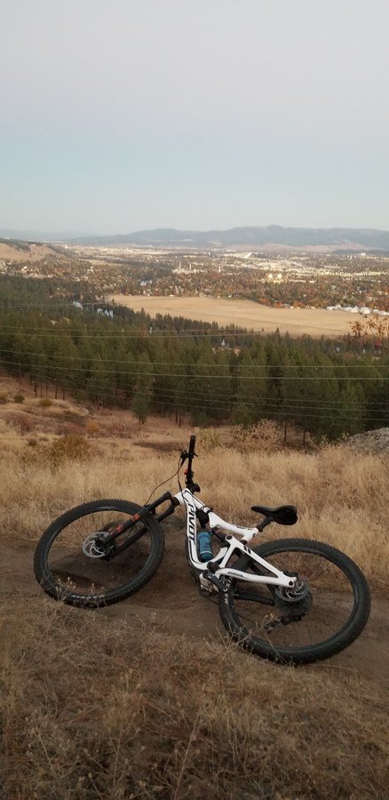 STOLEN - White Pivot 429 Trail  bikeindex.org/bikes/640445