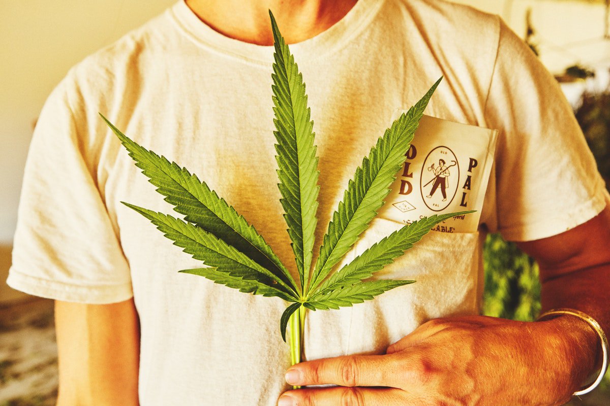 luvbrite's tweet photo. High, how are ya? 📸:  @oldpal.us #GetitDelivered #OldPal #cannabisdelivery #losangeles #santamonica https://t.co/PAs1wZe7dR