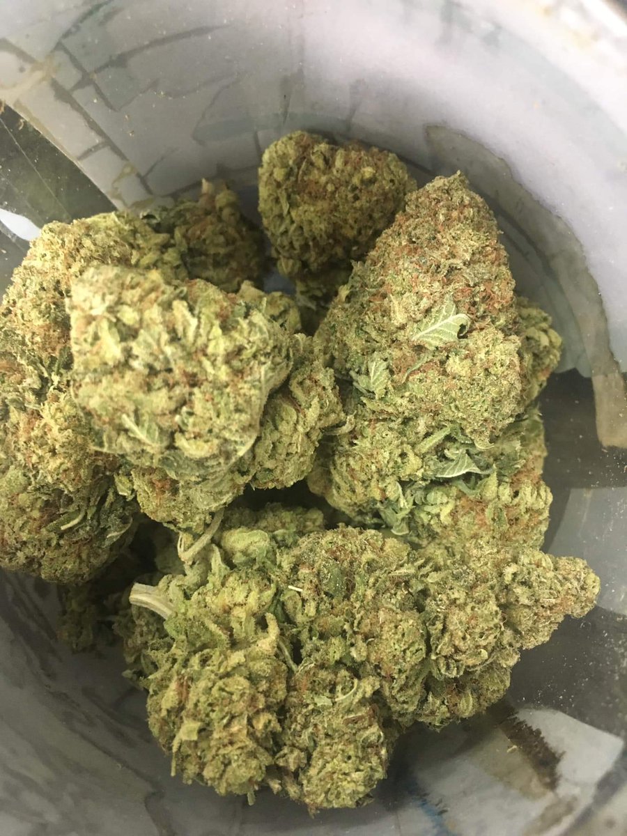 trader_cannabis's tweet photo. @ABC7 https://t.co/w3tlVsLBjD https://t.co/KgwOSlWKU1