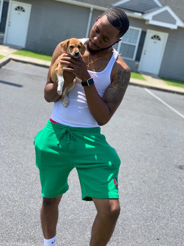 KingWaveee_'s tweet image. So I adopted yesterday... meet Dizzy 🐶❤️