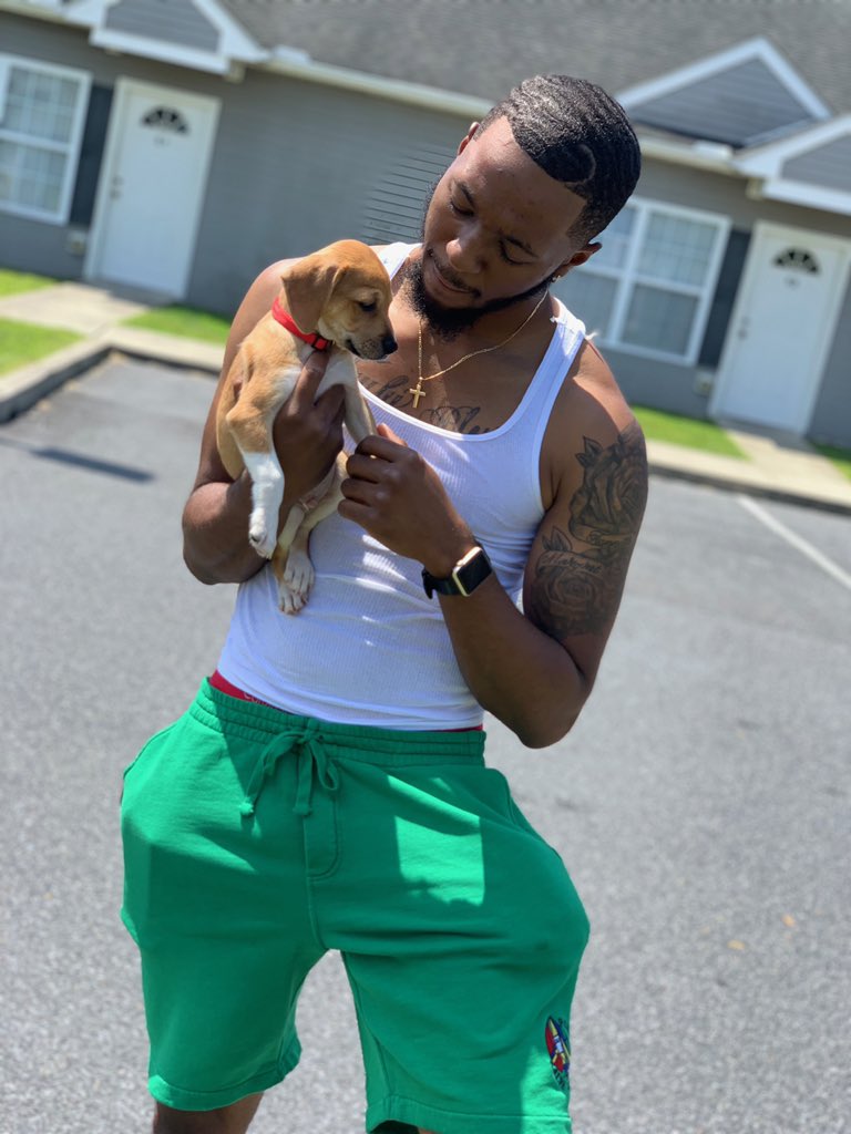 KingWaveee_'s tweet image. So I adopted yesterday... meet Dizzy 🐶❤️