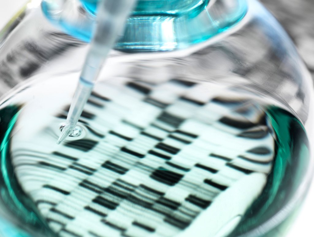 TechCrunch's tweet image. Biotech researchers venture into the wild to start their own business tcrn.ch/2YD8tjY