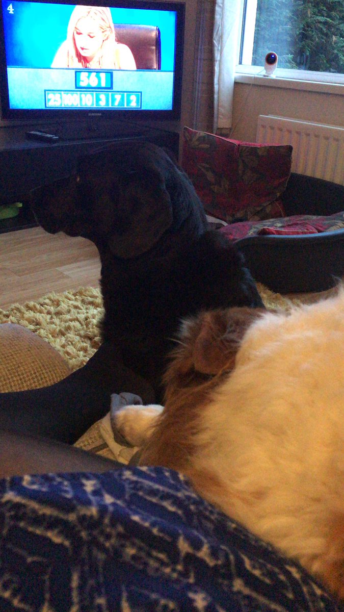 lepennement's tweet photo. When you know you’ve been missed 🥰🥰 https://t.co/9AFreJDtEp