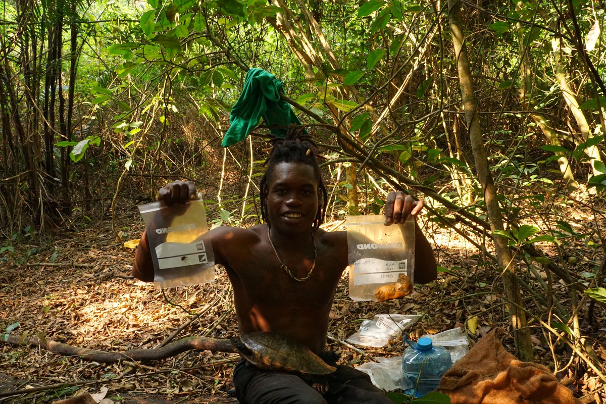 Donald McKnight tweet media