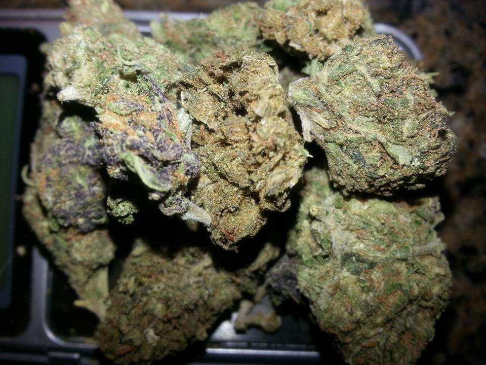 trader_cannabis's tweet photo. @MayorBowser https://t.co/w3tlVsLBjD https://t.co/Qs9OFf3rQ8
