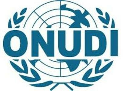 La Organización de las Naciones Unidas para el Desarrollo Industrial (ONUDI), ayuda al desarrollo de los países y a los países con economías en transición en su lucha contra la marginación en el mundo globalizado de hoy.