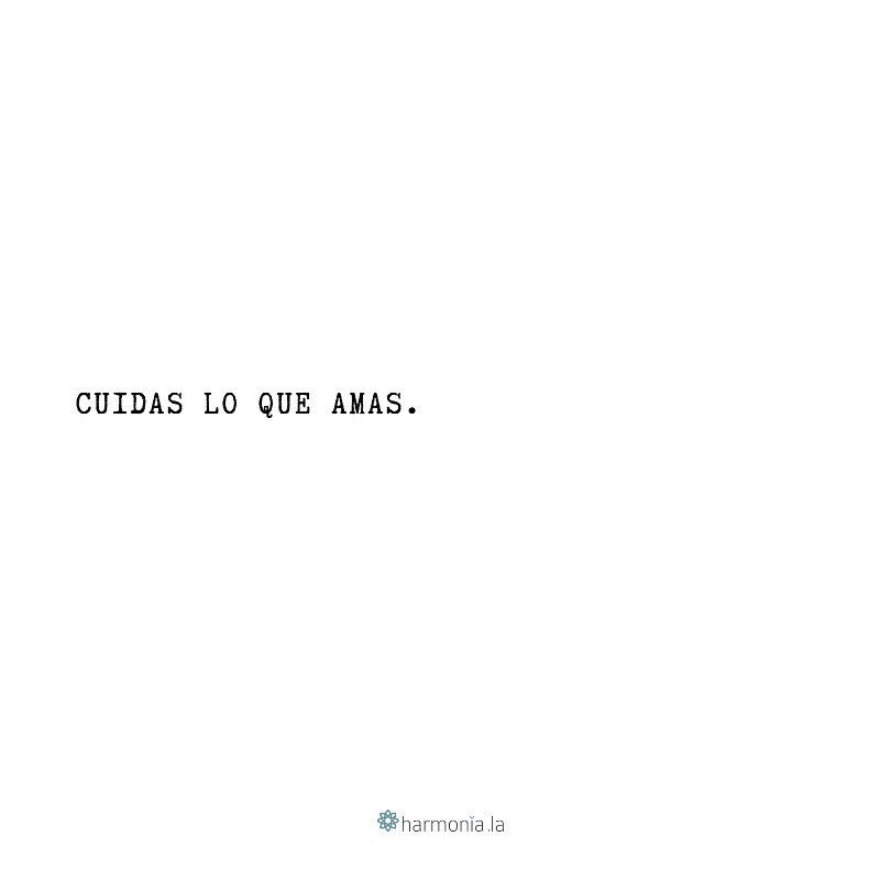 lucyrocca's tweet photo. #punto https://t.co/oxYgBax2qc