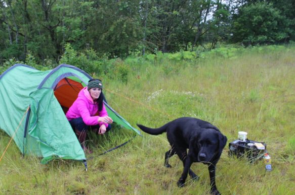 GCPals_Sleep tight outside (@gcpals) on Twitter photo Wild camping with a canine companion in Aberdeenshire… thecourier.co.uk/fp/lifestyle/o… via <a href="/thecourieruk/">The Courier</a> Wild camping with a canine companion in Aberdeenshire… thecourier.co.uk/fp/lifestyle/o… via <a href="/thecourieruk/">The Courier</a>