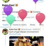 Photo by Kairo Fox! 🦊 (@KairoFoxeh)