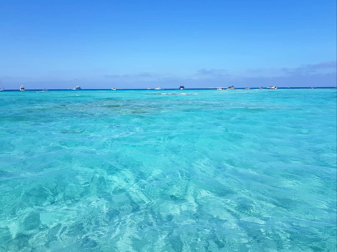 Blue_Adventure's tweet photo. Día lleno de emociones 🤙🏻🌴🌊
#deepdive #wreckdive #formenterabuceo #baleares #uwpic #marinelife #tauchgang #plongéesousmarine #ssi_international #diving #divessi @Blue_Adventure
Reservar en https://t.co/7CXC2YGdSI o llamando al +34 971321168 🌴🐠 https://t.co/RE3KysBeGM