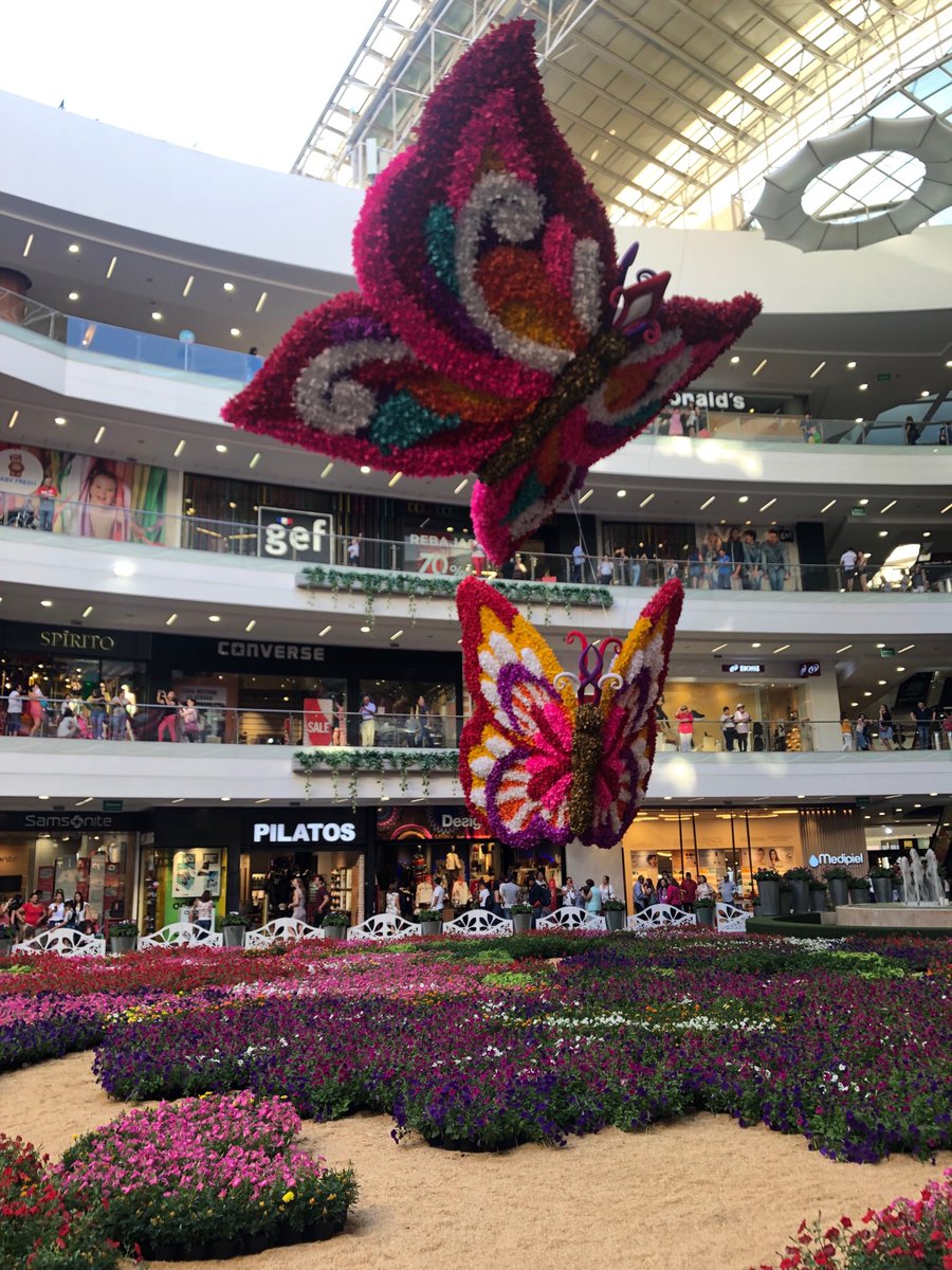 OsminMartinezG's tweet photo. El #mercadodesantafe en #Medellin alberga un tapete de más de 180.000 flores con motivo de las #feriadelasflores2019 https://t.co/NirvKbvb9o