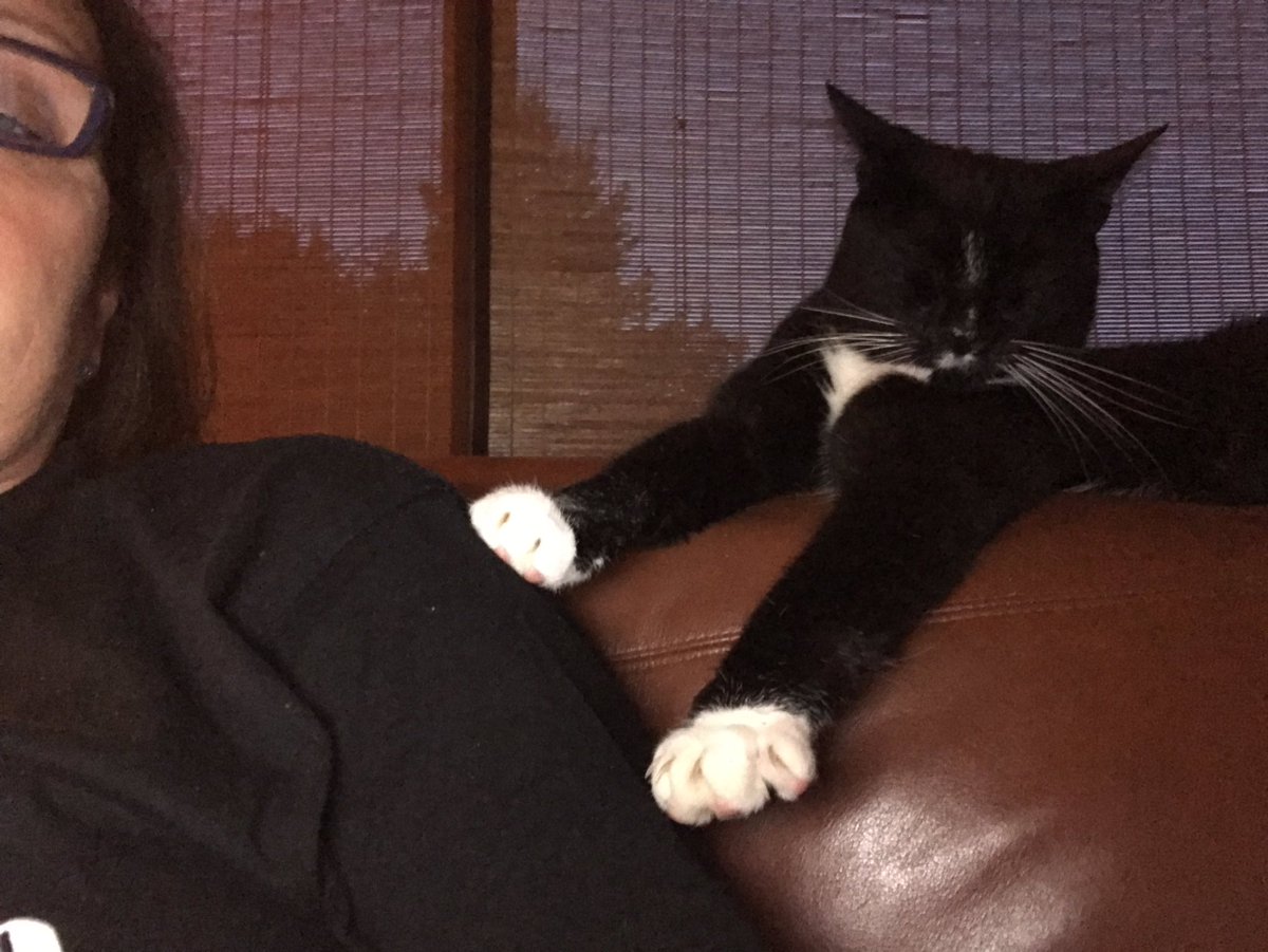DMK_17's tweet photo. I love this wee man π #fridaynightin #keepingmecompany #socute https://t.co/AZ0eNqOLsy