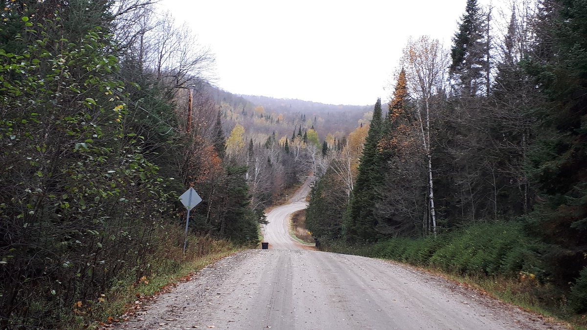 topazlabs's tweet image. Photographer Jo-Ann Valentine created a warm, inviting landscape using multiple layers, masking, and adjustments, all available in #TopazStudio2. 🎉 Today is the last day to get $20 off Studio 2. Download it now: topazlabs.com/studio #TopazLabs #TopazStudio