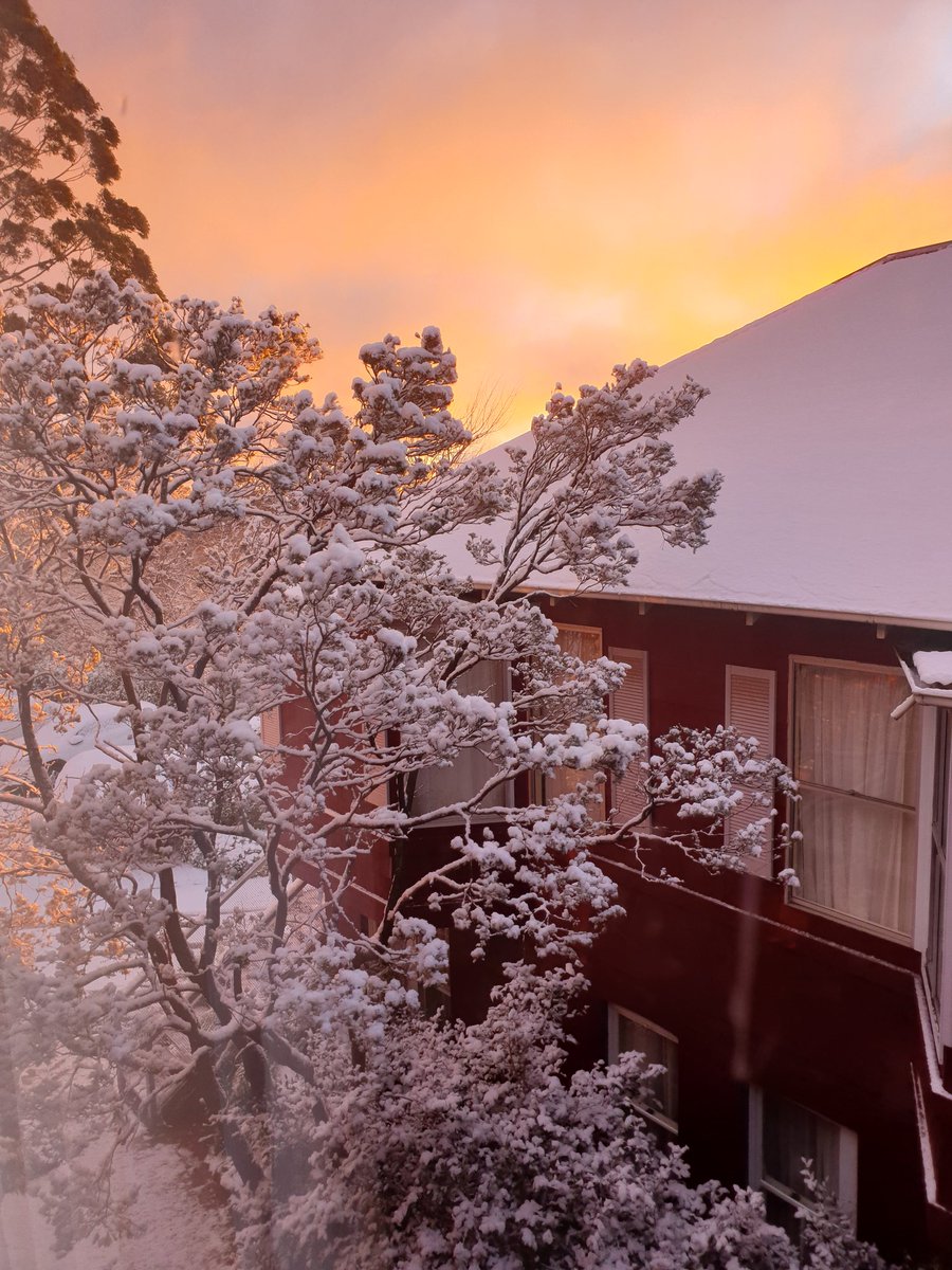dr_nic's tweet photo. Well hello to you too Blue Mountains. Bloody hell! ❄ https://t.co/u1M6h8b4gY