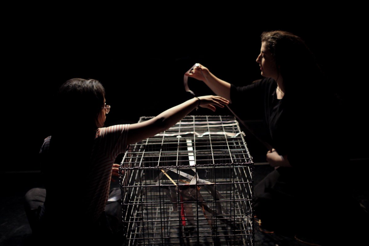 paradigm_lab_'s tweet photo. We open Pink House TOMORROW! Join us at 3.30pm at PQA Venues to see the magic. See you soon... https://t.co/zN71tb5OBl