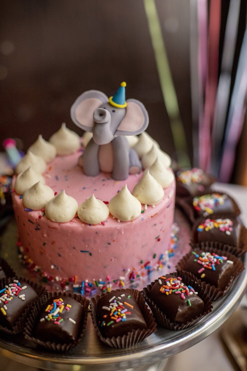 It’s Friday! Time to party like a pachyderm 🐘🍰🎉 This colorful custom 1st birthday smash cake was brought to life by the amazingly talented Alexandra Cheppa. Cheers to a bright and sugary weekend! #buzzbakeshop #elephant🐘 #partyanimal