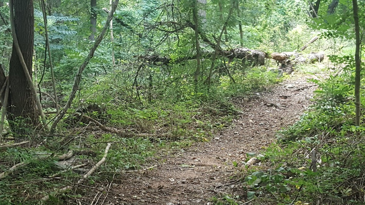 MikeWReilly's tweet photo. Got my steps in around #Oakwood #VisitAPark #AroundThe62AD #StatenIsland 
* Amundsen Trail &amp; Circle 
Richmond Rd to Hylan Blvd. Divided into North &amp; South w/ the Circle @ Amboy Rd &amp; Clarke Ave. named after Roald Engelbregt Gravning Amundsen 
More info here https://t.co/0osyPOLW3q https://t.co/hsfxKfOVLK