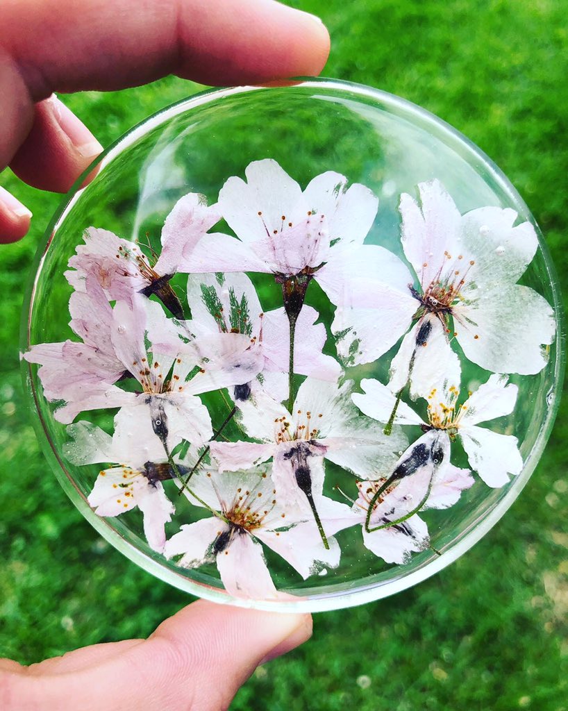 FlowerProject18's tweet image. Cherry Blossom Blooms

#TheFlowerProject #CherryBlossom #CherryBlossomBlooms #Nature #NaturePhotography #SummerTime #SpringBlooms #Flowers #Cherry #CustomArt #FlowerArt #CherryTree #Hope #Love #Kindness #Thoughtful #ShopLocal #GiftIdeas