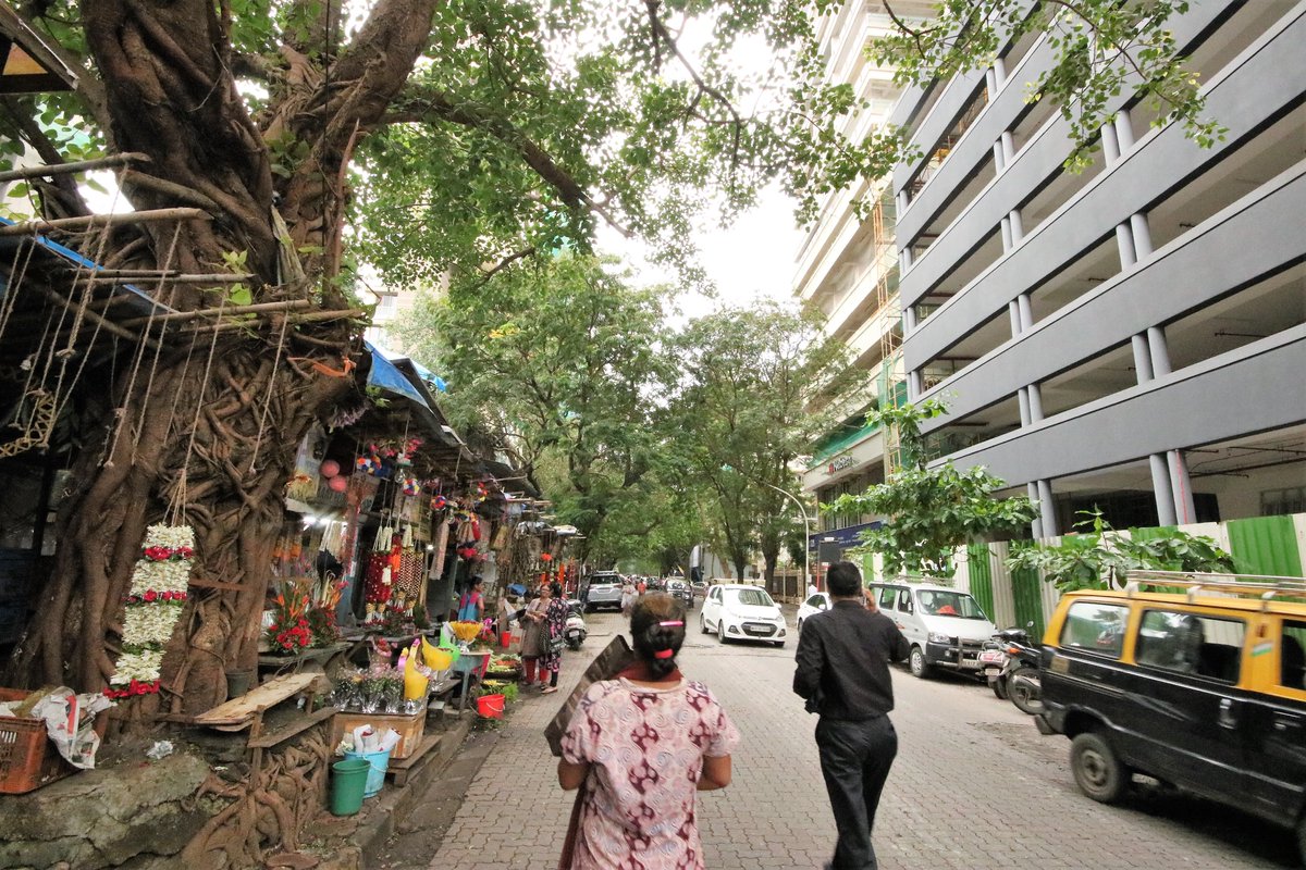 fractal binding and dissociation kinetics for different