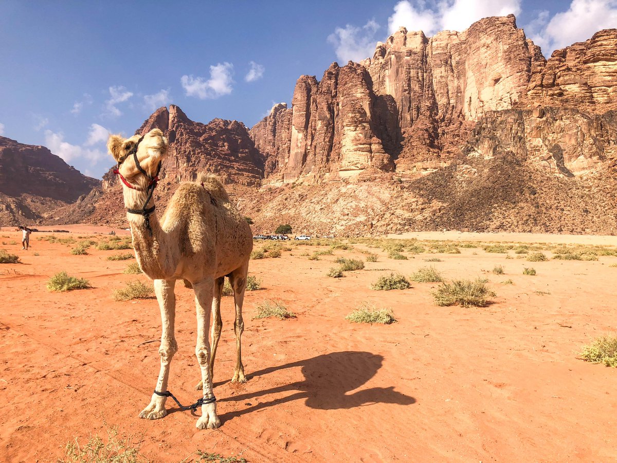 NBCTheVoyager's tweet photo. Docked in Aqaba, @mrjoshuagarcia joins a Bedouin tribe member &amp; explores Wadi Rum, a protected desert wilderness of red sand dunes &amp; granite rock formations! #TheVoyager https://t.co/JWqnJa3rWa