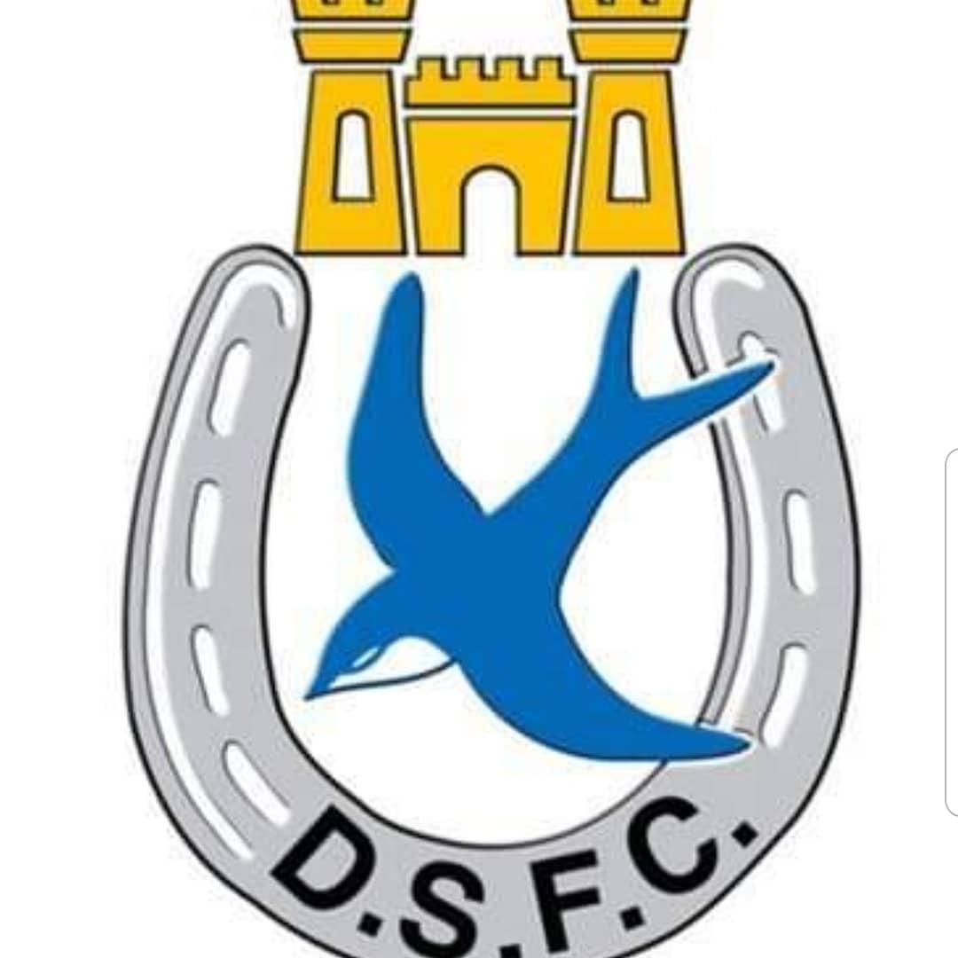 Dgncryospa's tweet photo. All the best lads @DgnSwifts for tomorrow in your first league game against Ballymena Untied and in the forth coming season ahead 🔵⚪⚽️ #DSFC #blue&amp;whitearmy https://t.co/MPpZtqOtls
