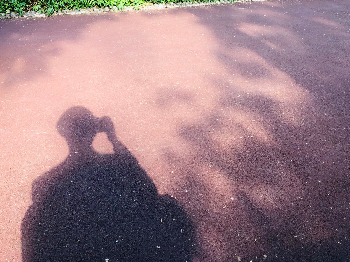 BTS_FRENCH_UNIT's tweet photo. @BTS_twt <TWITTER> - 190809 - V
Here is the person who wrote lyrics in English for the first time~ #IWasNervous #BecauseIWantedToGiveASpoiler #ButIResisted #Lyrics #ThatIWrote #DuringTheTour #AfterWatchingEnglishMovies #Thanks #Namjoon #ForHelpingMe ๐ค https://t.co/Ke9kWeEd1q