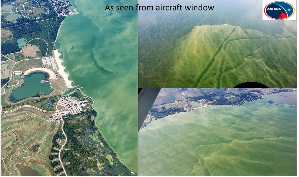 KianaZol's tweet photo. Here is a map of the flight line planning along with the locations of the water sampling stations, a view of the shoreline near Maumee Bay State Park from @NRC_CNRC aircraft window, and an RGB WISE image of the same area. https://t.co/EpUbBv7Xd1