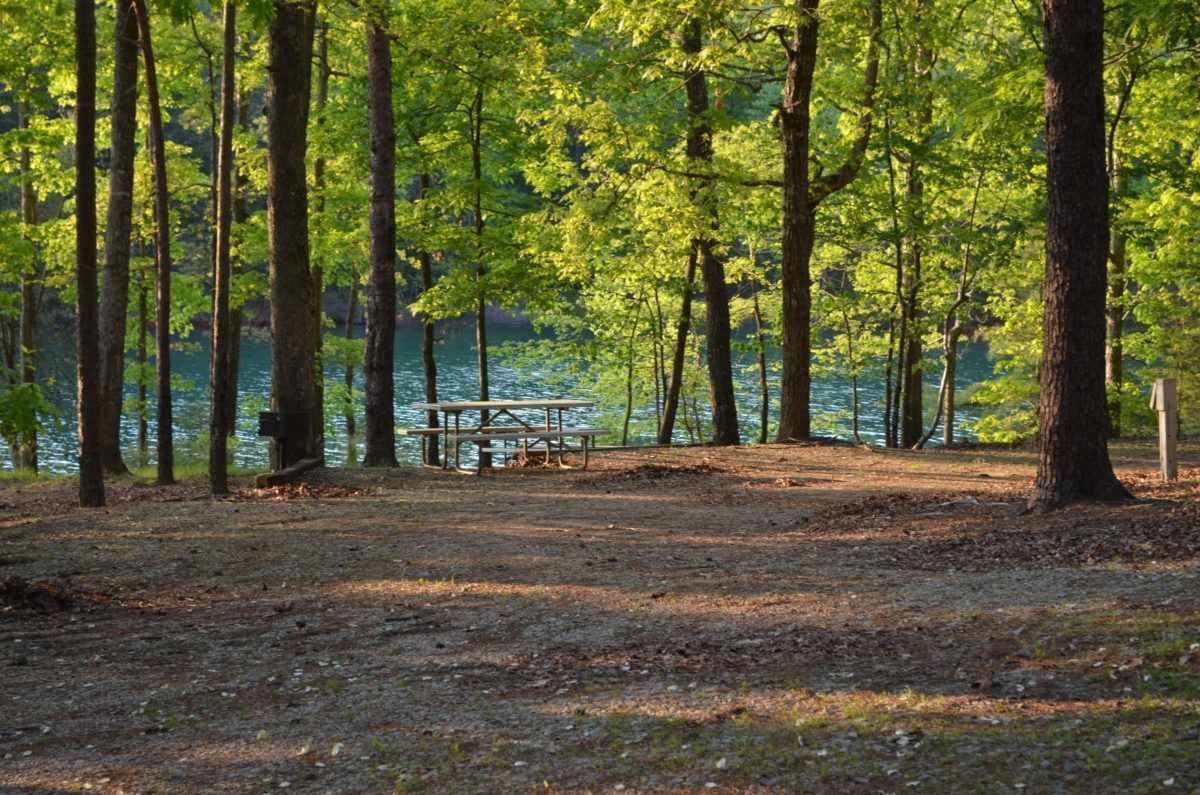 LakeLanier.com tweet media
